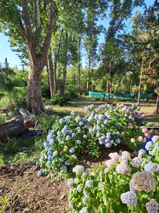 Casa Eden Exclusiva Y Comoda Casona De Descanso A Tan Solo 1 Hora De Bs As Villa Tigre Kültér fotó