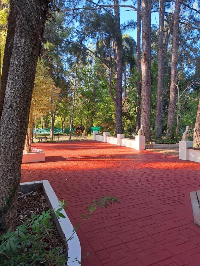 Casa Eden Exclusiva Y Comoda Casona De Descanso A Tan Solo 1 Hora De Bs As Villa Tigre Kültér fotó